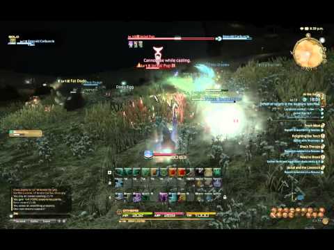 Final Fantasy XIV: Arcanist Levels 13-15, Cook 1-5 - 1 / 9