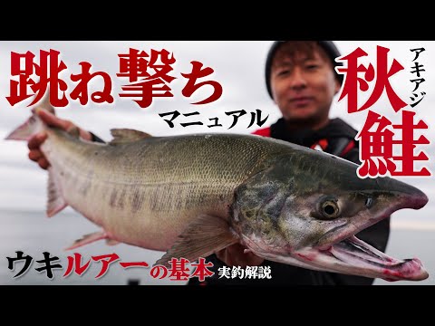 【タックル解説アリ】北海道 秋鮭 跳ね撃ちマニュアル