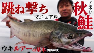 【タックル解説アリ】北海道 秋鮭 跳ね撃ちマニュアル