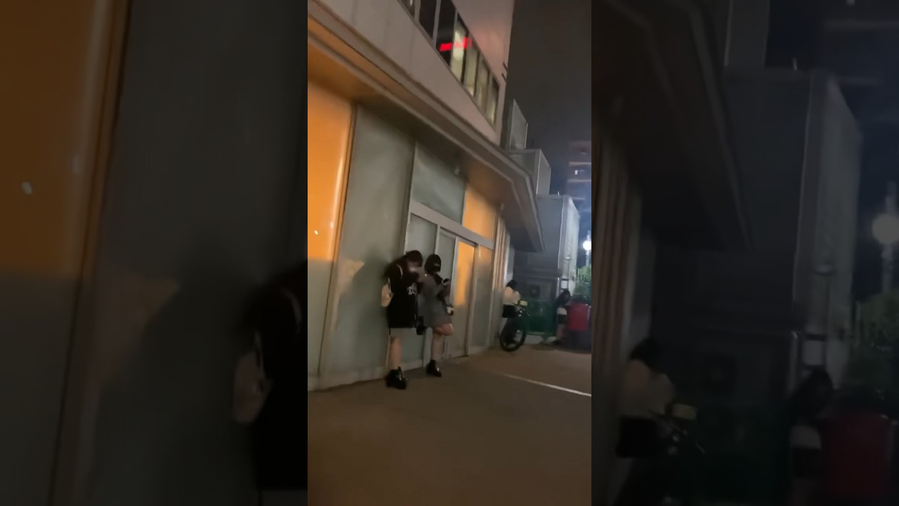 新宿歌舞伎町大久保公園周辺