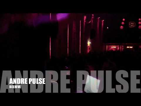 Andre Pulse - Beehive (Passo Fundo - RS)