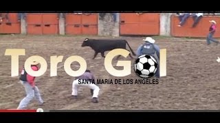 preview picture of video 'Toro gol en Santa Maria de Los Angeles'