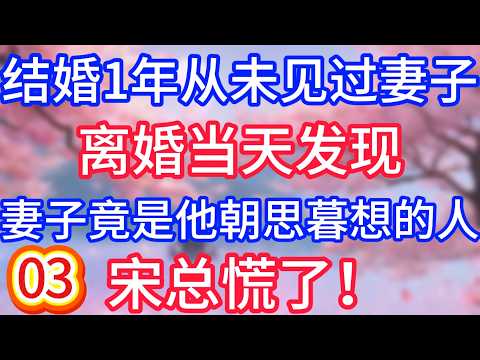 【第三季】結婚1年從未見過妻子，離婚當天發現妻子竟是他朝思暮想的人，宋總慌了！