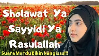 Download lagu Sholawat Penenang Hati, Sholawat Ya Sayyidi Ya Rasulullah,Sholawat Paling Merdu dan menyentuh hati mp3 Download lagu Sholawat Penenang Hati, Sholawat Ya Sayyidi Ya Rasulullah,Sholawat Paling Merdu dan menyentuh hati mp3