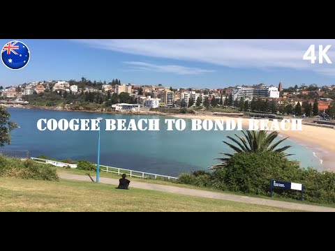 Coogee Beach to Bondi Beach Coastal Walking Tour 🚶‍♂️