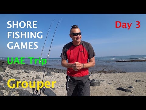 Groupers. UAE shore fishing trip. 25.12.2018