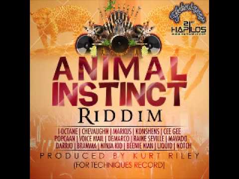Chevaughn - Go |Animal Instinct Riddim| January 2013 | Follow @YoungNotnice |