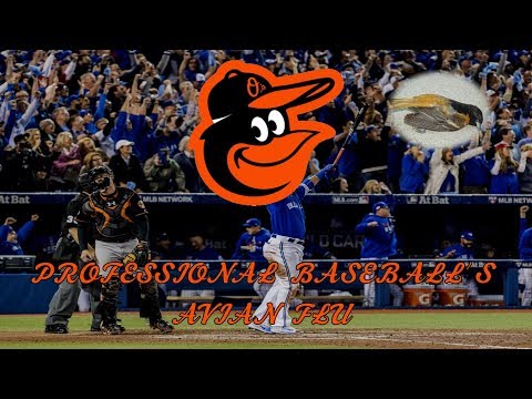 The Baltimore Orioles: Professional Baseball's Avian Flu