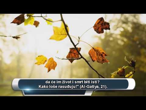 Emotivno: Allah neće poniziti pokornog mladića i djevojku - Muhammed Ratib Nabulsi