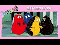 Barbapapà EP 28 Metamorfosi EPISODIO COMPLETO Italiano