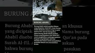 Download lagu Quotes islami | burung ababil membawa batu dari neraka #shorts mp3