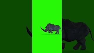 Download lagu 🆓🎥 FREE STOCK FOOTAGE! Wild Rhinoceros Attack Green Screen ⚠️💥 #nocopyright #fun #memes #suspense mp3
