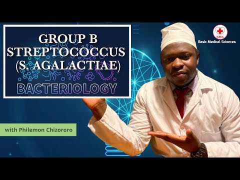 Group B Streptococcus (S.agalactiae)
