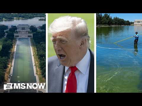 ‘VOID OF REALITY LIE’: Trump keeps pushing reflecting pool ‘vandals’ conspiracy