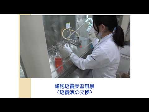 広島大学 歯学部 生体構造・機能修復学 研究室紹介