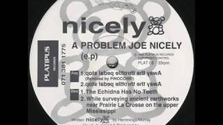 Nicely - Away The Throttle Pedal Stop (Union Jack Remix) (1993)