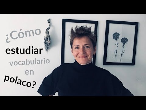 ¿Cómo estudiar vocabulario en polaco?