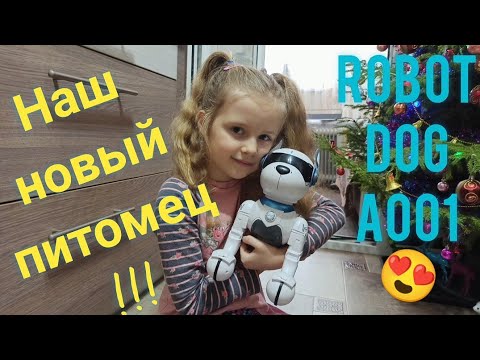 Интерактивная собака робот Leidy Robot Dog A001 с голосовым управлением!🐕Подробный обзор