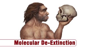 Molecules That Died With Neanderthals And Denisovans Recreated In Molecular De-Extinction, Akara Arc