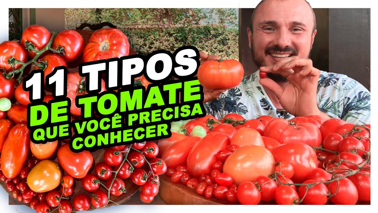 11 TIPOS DE TOMATE QUE VOCÊ PRECISA CONHECER