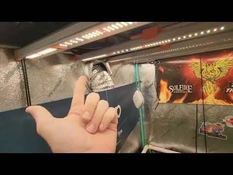 Key Factors for Plant Wellness: VPD, Leaf Surface Temperature, and Humidity Demystified