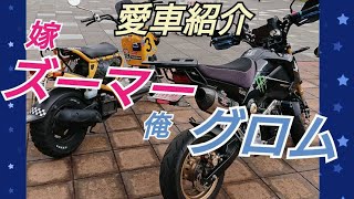 【グロム ＆ ズーマー】愛車紹介
