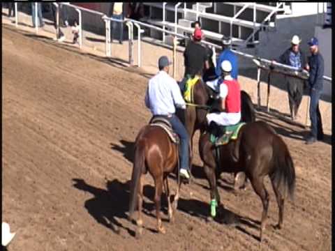 EL PANCHO LOPEZ VS TAPADO CUADRA ROYAL DREAM 275 YDS PICOS CARRIL EL FARAYON EL PASO TEXAS 17 DE ABR