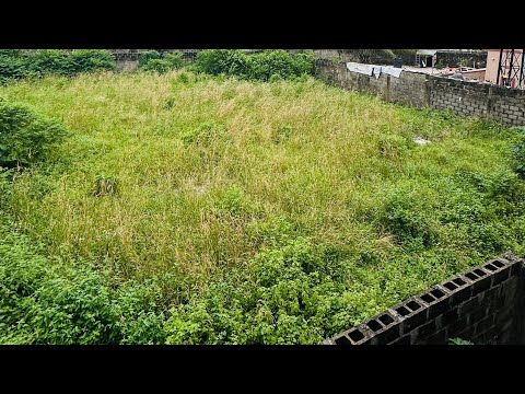 Residential Land For Sale Orchid Road, Chevron Drive Lekki Lagos