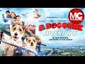 A Doggone Adventure | Full Family Adventure Movie