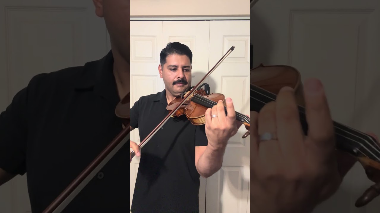 Promotional video thumbnail 1 for Adrian Grijalva — Solo Violin & Vocals