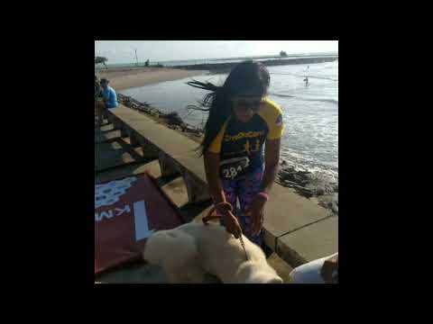 Corrida da Independência - CorreOuCorre