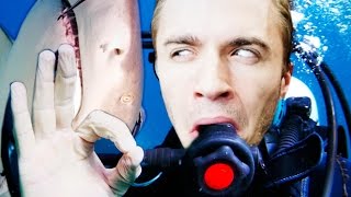 L ENFER SOUS-MARIN Subnautica 