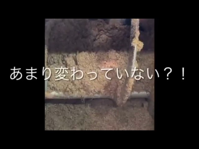 排水汚泥処理_カット野菜