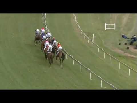 WAR OF ATHENA -2021 Wilgerbosdrift SA Fillies Classic