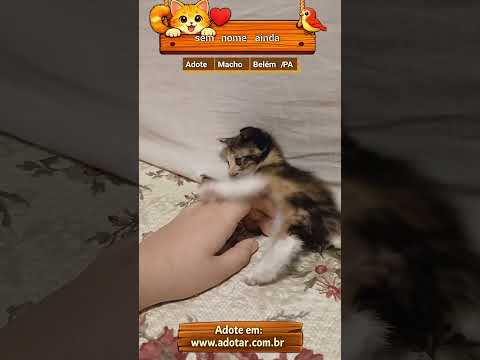 Vídeo de sem nome ainda