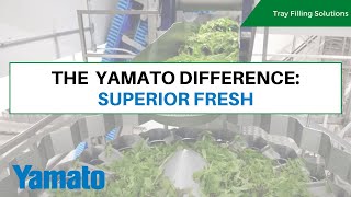 The Yamato Difference: Superior Fresh Invests in Tray Filling Packaging Solution for Leafy Greens