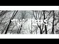 Lil Foreign Trap Niggas Official Music Video