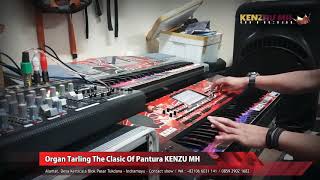 Download lagu Wadon selingan - karaoke versi tanpa kendang [kenzhu organ] mp3