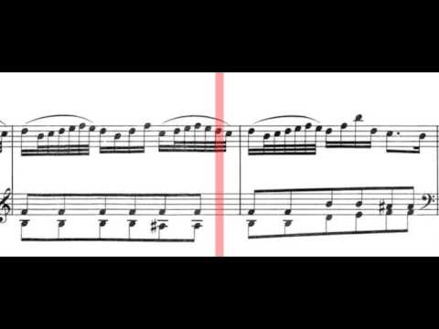 BWV 972 - Concerto Transcription after Vivaldi in D Major