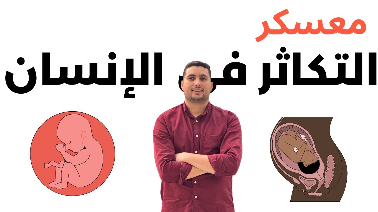 المعسكر الأضخم 2026: شرح التكاثر في الإنسان بالكامل (تالتة ثانوي أحياء)