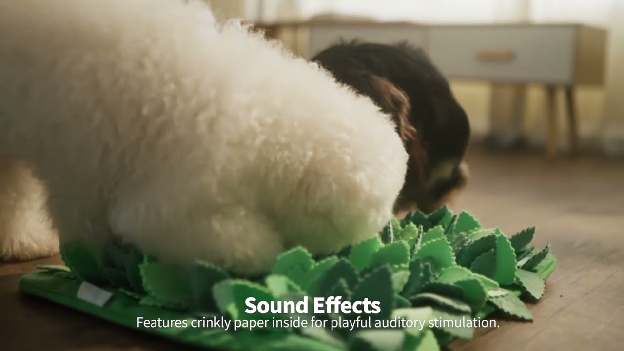 Watch: Puzzle Feeder™ Grass Snuffle Mat in action