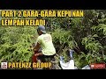 SAYANG DIBUANG PRADIK GARA GARA KEPUNAN LEMPAH KELADI PART 2