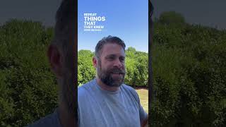 Download lagu How propaganda really works.. mp3 Download lagu How propaganda really works.. mp3