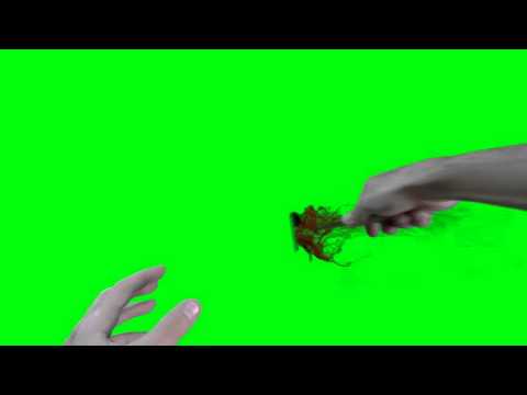 Green screen some attack Knife first person with blood