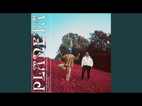 Natural Born Chiller