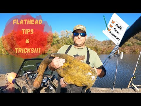 TIPS and Tricks for Targeting FLATHEAD Catfish