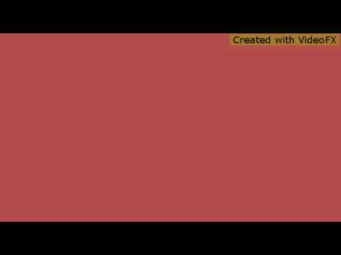 Neotorious $MG "Thug Thief Criminal"