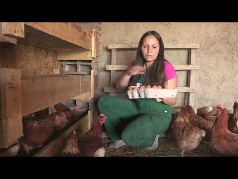 Imamo rešenje ep. 61 27.07.2020. NAJAVA