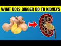 What Happens To Your Kidneys When You Eat Ginger Every Day