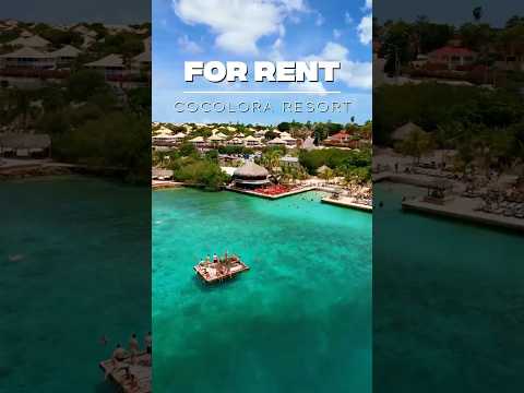 Video preview: Apartment in Brakkeput